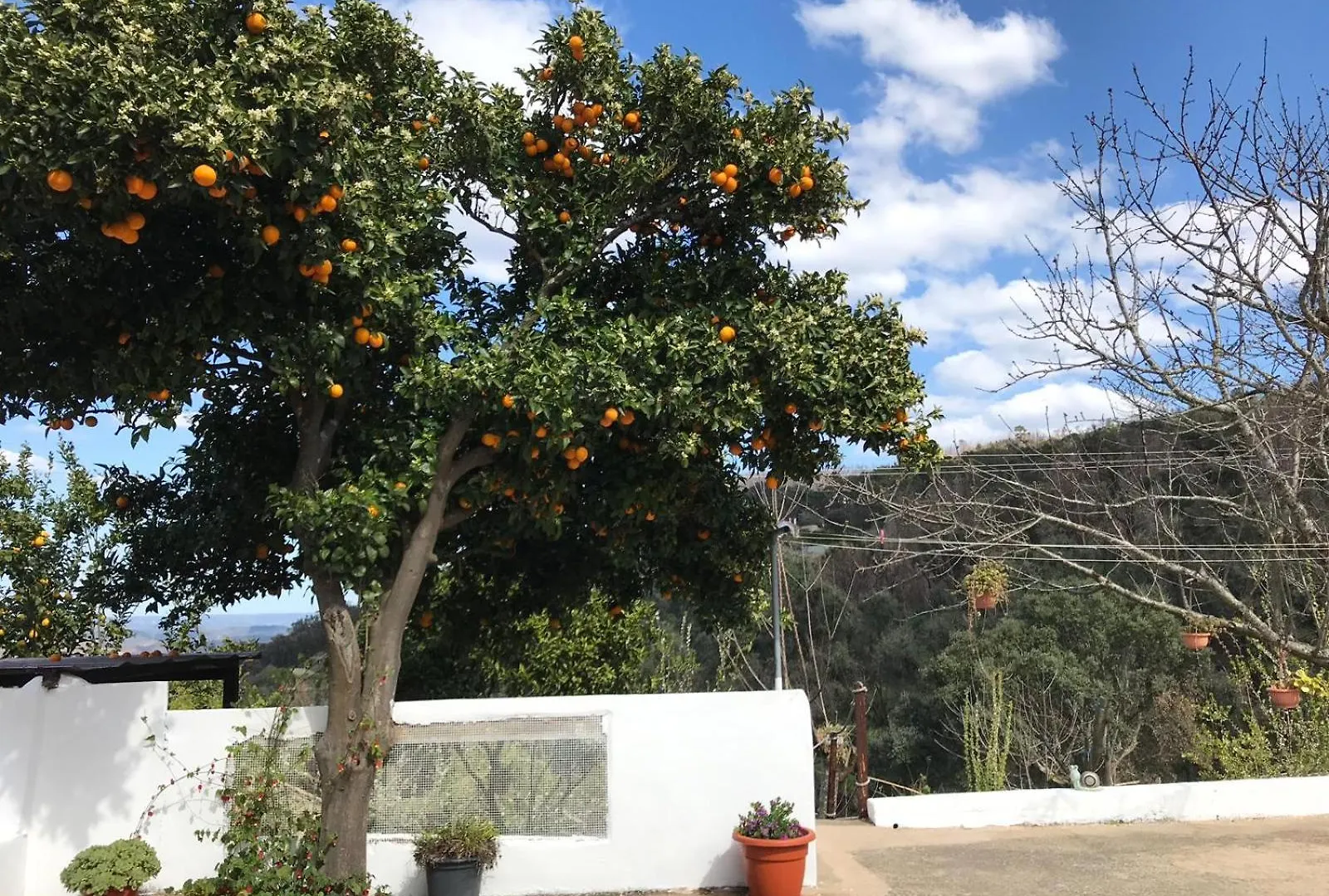 Villa Casas Bemposta à Monchique