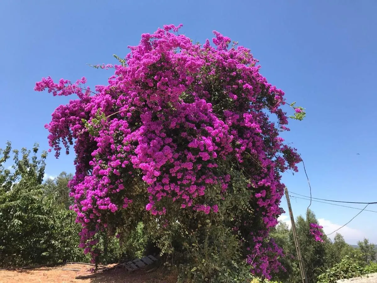 Hébergement de vacances Villa Casas Bemposta à Monchique Portugal
