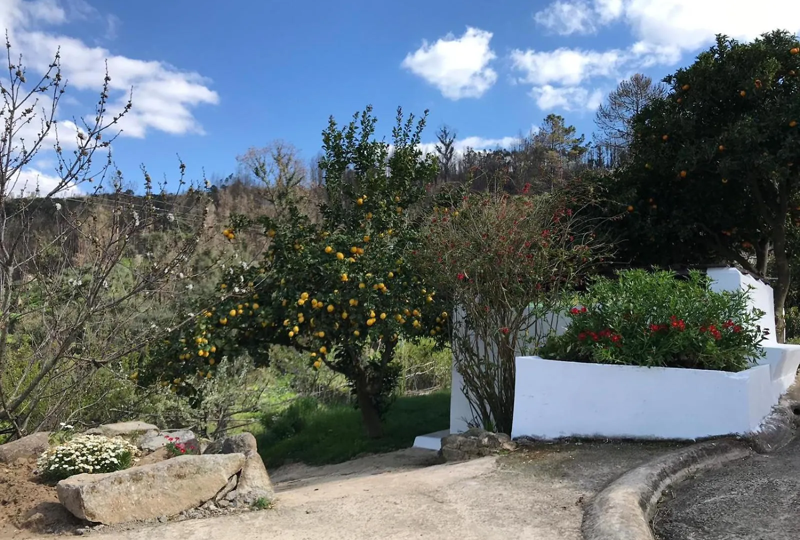 Villa Casas Bemposta Monchique 0*,